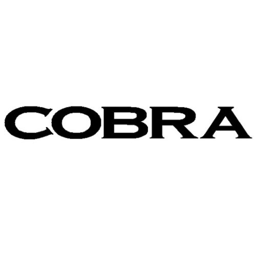 Cobra Seats